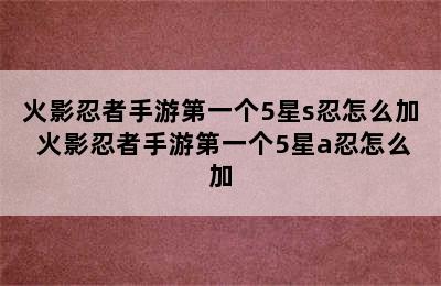 火影忍者手游第一个5星s忍怎么加 火影忍者手游第一个5星a忍怎么加